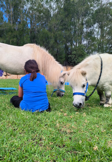 Pony Friendship Workshop