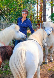 Pony Friendship Workshop