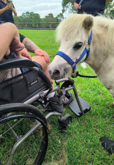 Pony Friendship Workshop