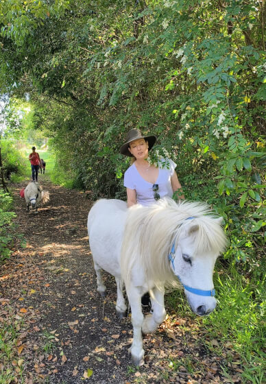 Pony Walking Adventure