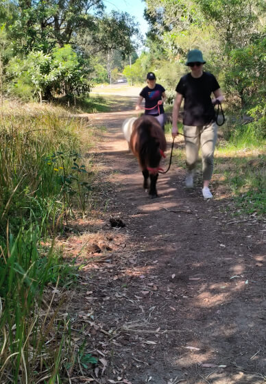 Pony Walking Adventure