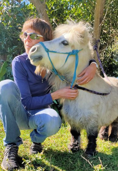 Pony Walking Adventure