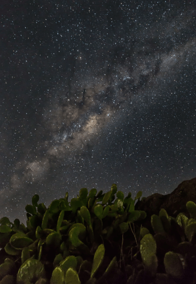 Port Stephens Landscape Photography Course