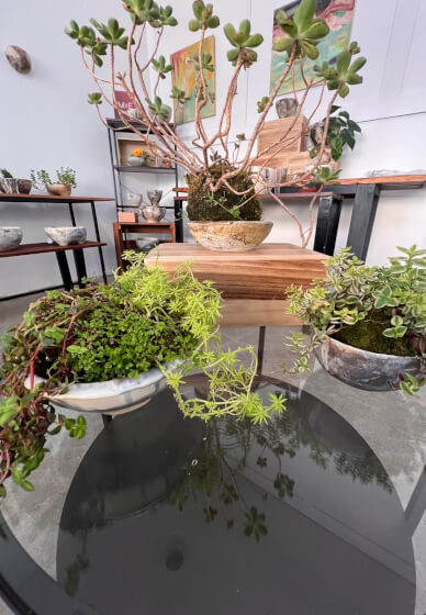 Pottery and Kokedama Course: Koko Pots
