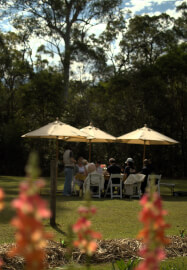 Pottery and Pick Workshop: Hand Building and Picking Flowers