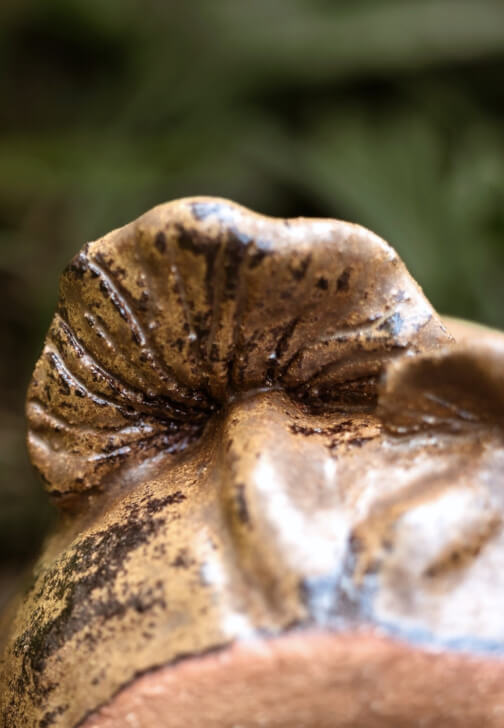 Pottery Hand-building Workshop: Make a Mushroom Mug
