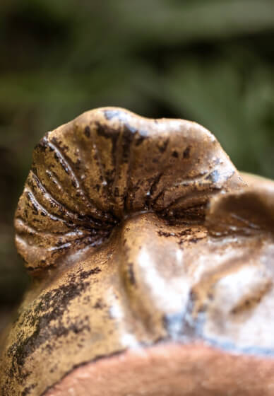 Pottery Workshop for Beginners