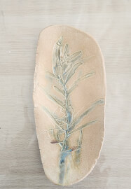Pottery Workshop with Coffee and Cake: Breakfast Botanicals