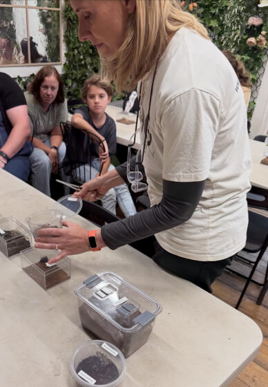 Praying Mantis and Bioactive Enclosure Workshop