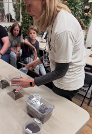 Praying Mantis and Bioactive Enclosure Workshop