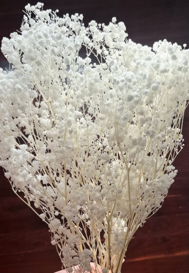 Preserved Flower Arranging Workshop