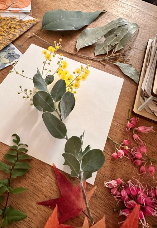 Pressed Botanicals Workshop