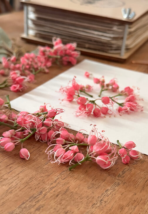 Pressed Botanicals Workshop