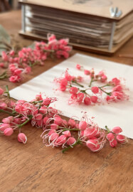 Pressed Botanicals Workshop