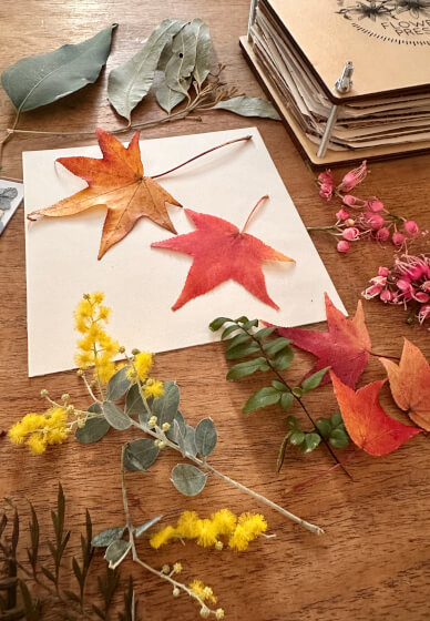 Pressed Botanicals Workshop
