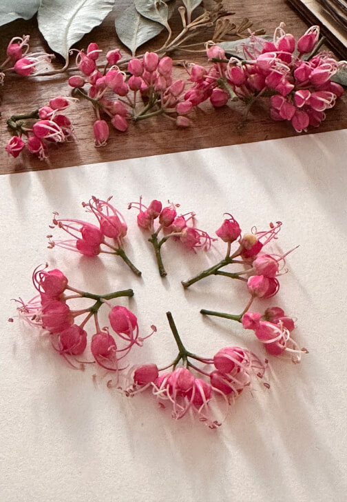Pressed Botanicals Workshop