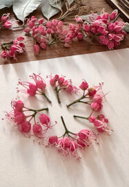 Pressed Botanicals Workshop