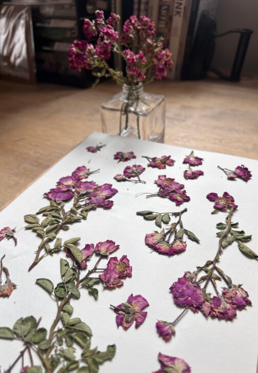 Pressed Botanicals Workshop