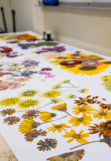 Pressed Flower Art Frame Workshop