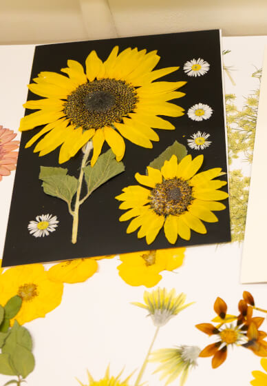 Pressed Flower Art Frame Workshop