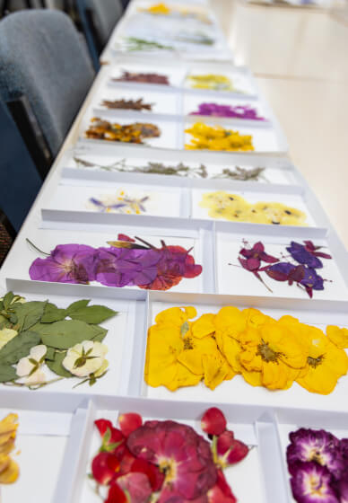 Pressed Flower Art Frame Workshop