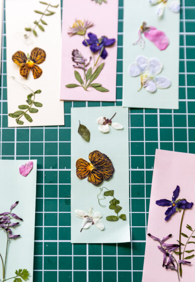 Pressed Flower Art Frame Workshop