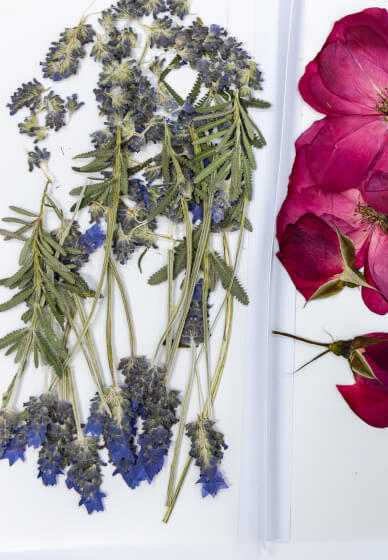 Pressed Flower Art Frame Workshop
