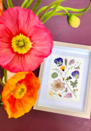 Pressed Flower Art Workshop