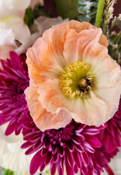 Pressed Flower Art Workshop