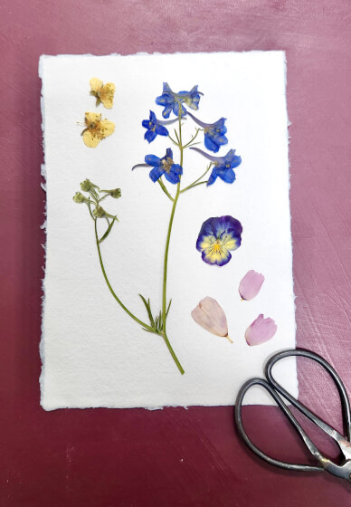 Pressed Flower Art Workshop