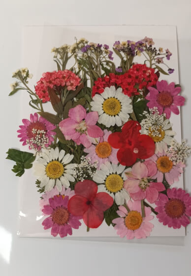 Pressed Flower Bookmark Workshop