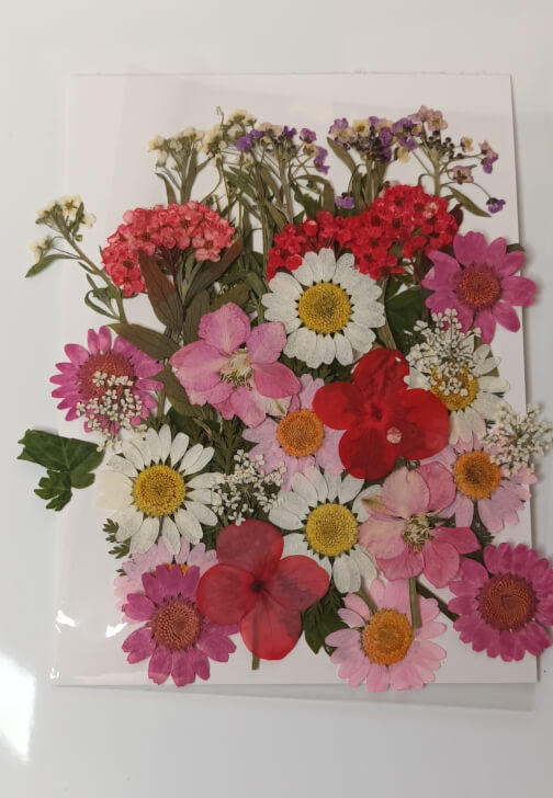 Pressed Flower Bookmark Workshop