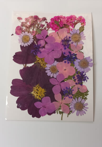 Pressed Flower Bookmark Workshop