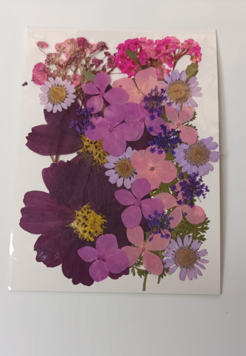 Pressed Flower Bookmark Workshop