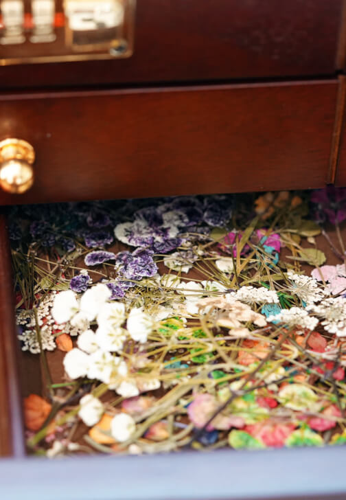 Pressed Flower Frame Art Workshop