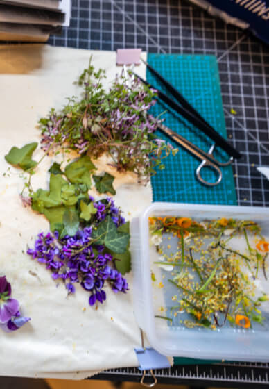 Pressed Flower Workshop – the Art of Flower Preservation