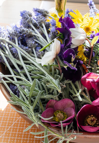 Pressed Flower Workshop – the Art of Flower Preservation
