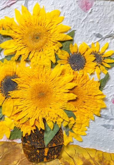 Pressed Flower Workshop – the Art of Flower Preservation