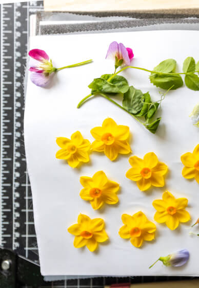 Pressed Flower Workshop – the Art of Flower Preservation