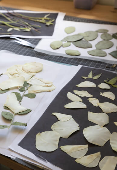 Pressed Flower Workshop – the Art of Flower Preservation