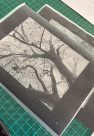 Print Your Photographs as Cyanotype Prints Workshop