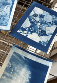 Print Your Photographs as Cyanotype Prints Workshop