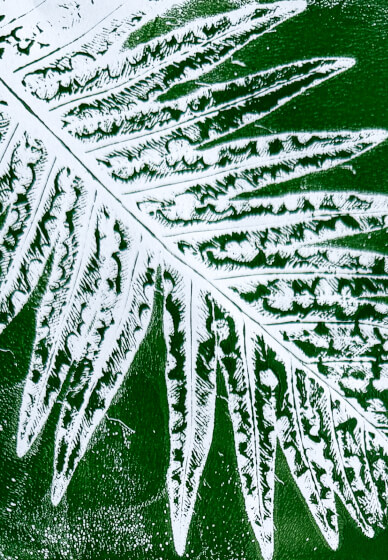 Gelli Plate Printing Workshop