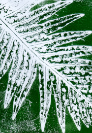 Gelli Plate Printing Workshop