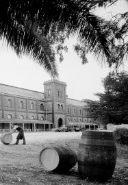 Private Château Tanunda Tour and Tasting
