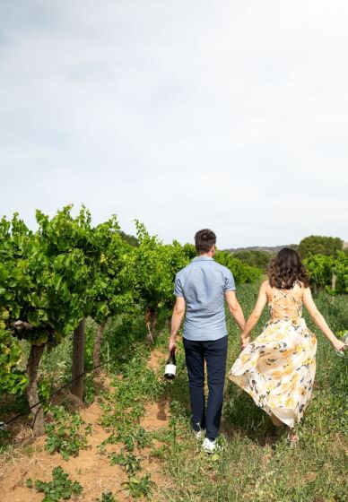 Private Château Tanunda Tour and Tasting