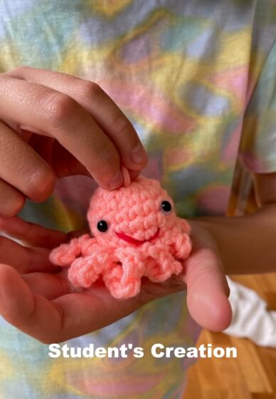 Private Crochet Class