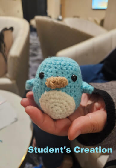 Private Crochet Class