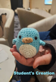 Private Crochet Class