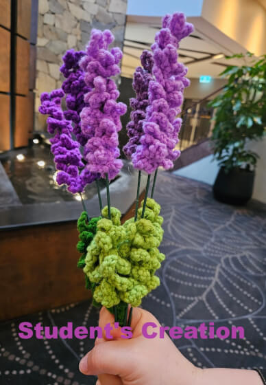 Private Crochet Class